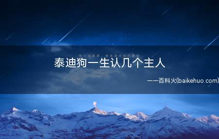 泰迪狗一生认几个主人(泰迪犬饲养的注意事项)