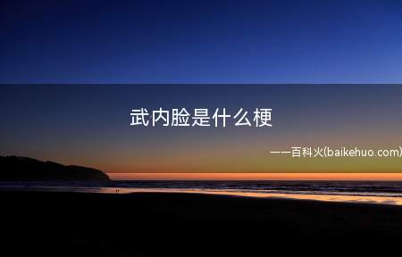 武内脸是什么意思【图】