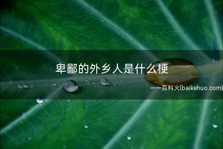卑鄙的外乡人是什么梗