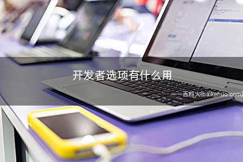 开发者选项有什么用