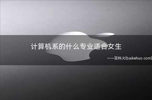 计算机系的什么专业适合女生