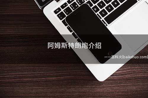 阿姆斯特朗炮介绍