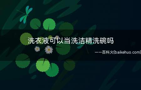 洗衣液可以当洗洁精洗碗吗(洗衣液适用于各种可水洗衣物)