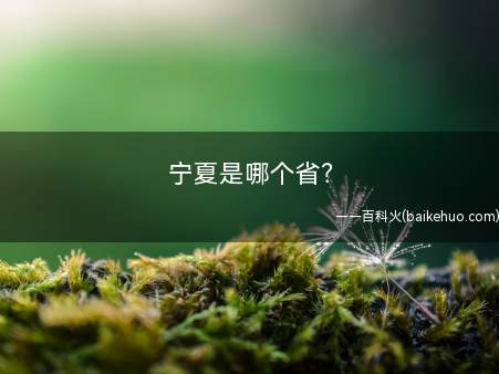 宁夏是哪个省?