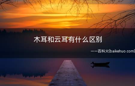 木耳和云耳有什么区别
