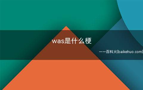 was是什么梗(WAS的真实含义是什么)
