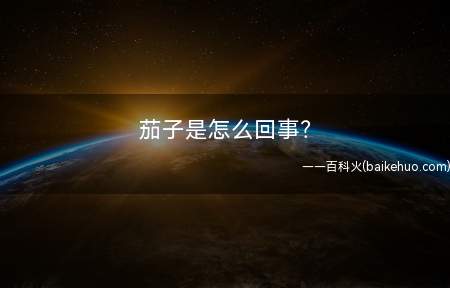 茄子是怎么回事?