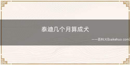 泰迪几个月算成犬(泰迪犬选购方法)