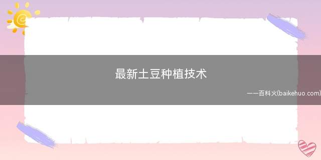 最新土豆种植技术