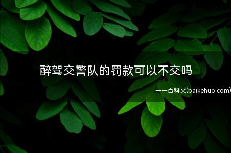 醉驾交警队的罚款可以不交吗