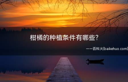 柑橘的种植条件有哪些？