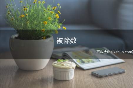 被除数、除数和商和余数的公式