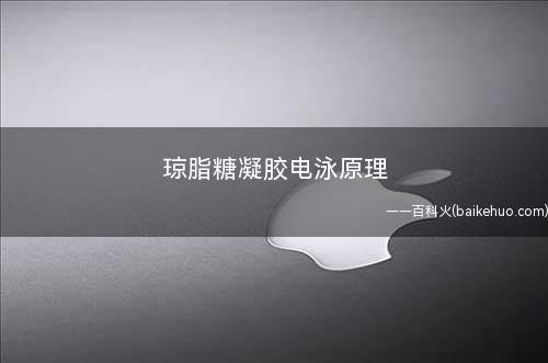 琼脂糖凝胶电泳原理及区别