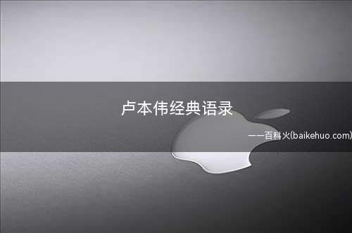 卢本伟经典语录