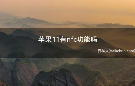 苹果11有nfc功能吗(苹果nfc功能在哪开启)