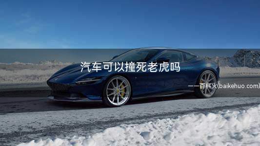 汽车可以撞死老虎吗(汽车可以撞死老虎的体态)
