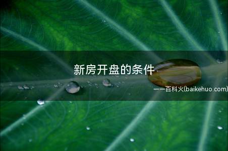 新房开盘的条件(新房开盘当天如何选房)