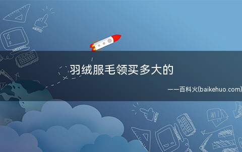 羽绒服毛领买多大的(有毛领的羽绒服显老气吗答案都在这了)