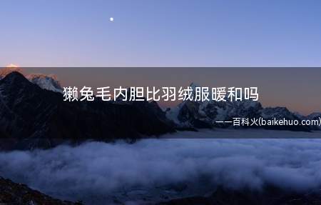 獭兔毛内胆比羽绒服暖和吗