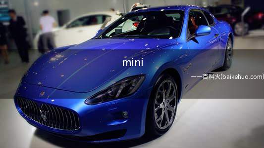 mini