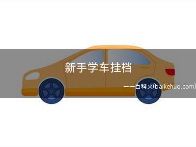 新手学车挂档