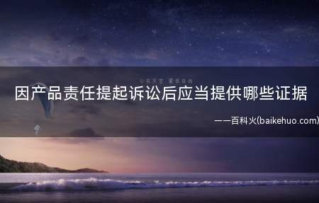 因产品责任提起诉讼后应当提供哪些证据