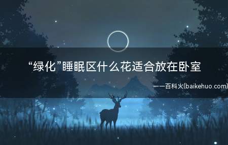 “绿化”睡眠区什么花适合放在卧室(如何应对室内空气质量问题)