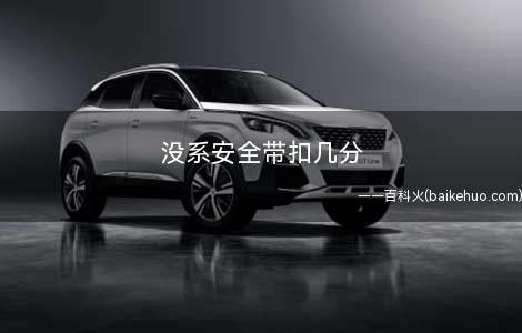 没系安全带扣几分