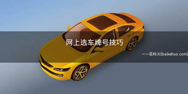 网上选车牌号技巧