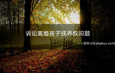 诉讼离婚孩子抚养权问题(诉讼离婚孩子抚养问题)