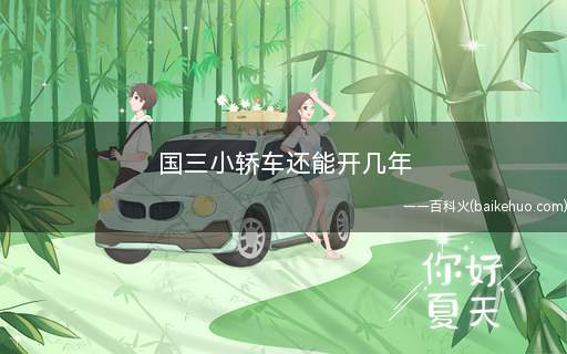 国三小轿车还能开几年(中国第三阶段汽车排放标准)