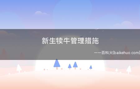 新生犊牛管理措施