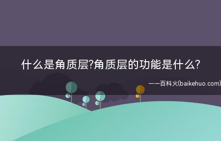 什么是角质层?角质层的功能是什么?