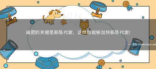 减肥的关键是新陈代谢，这样做能够加快新陈代谢！