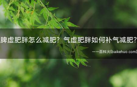 脾虚肥胖怎么减肥？气虚肥胖如何补气减肥？