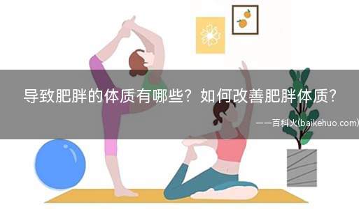 导致肥胖的体质有哪些?如何改善肥胖体质?