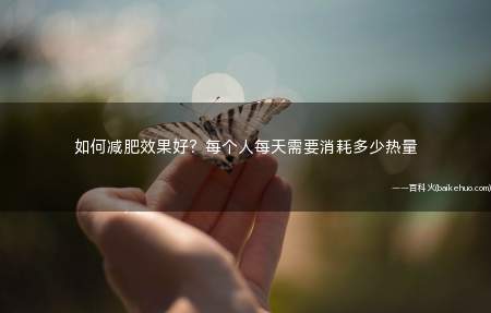 如何减肥效果好?每个人每天需要消耗多少热量