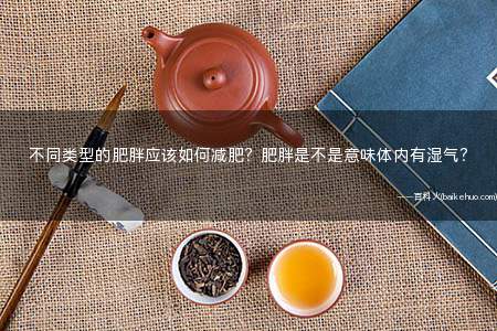 不同类型的肥胖应该如何减肥?肥胖是不是意味体内有湿气?