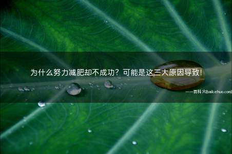 为什么努力减肥却不成功?可能是这三大原因导致!