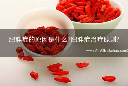 肥胖症的原因是什么?肥胖症治疗原则?
