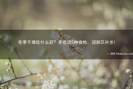 冬季干燥吃什么好?多吃这5种食物,润肺又补水!