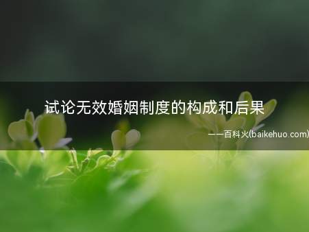 试论无效婚姻制度的构成和后果(无效婚姻与可撤销婚姻的异同)