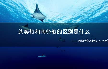 头等舱和商务舱的区别是什么