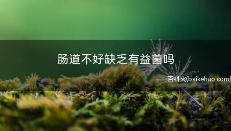肠道不好缺乏有益菌吗 哪些食物可以增加肠道有益菌