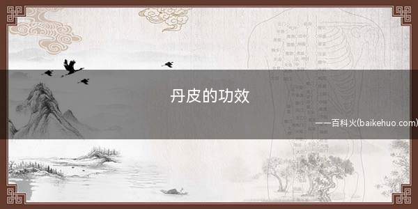 丹皮的功效(丹皮清热凉血、活血化瘀功效)