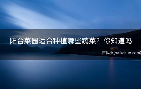阳台菜园适合种植哪些蔬菜？你知道吗