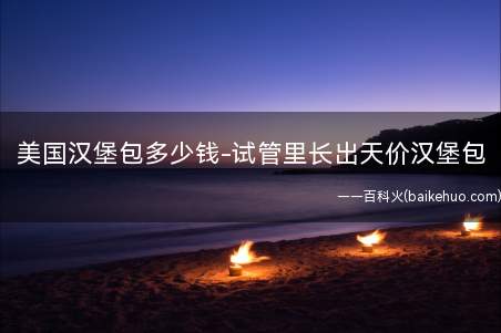 美国汉堡包多少钱-试管里长出天价汉堡包