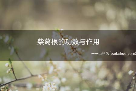 柴葛根的功效与作用