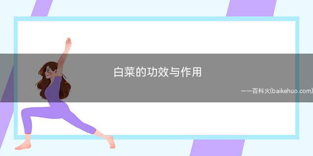 白菜的功效与作用