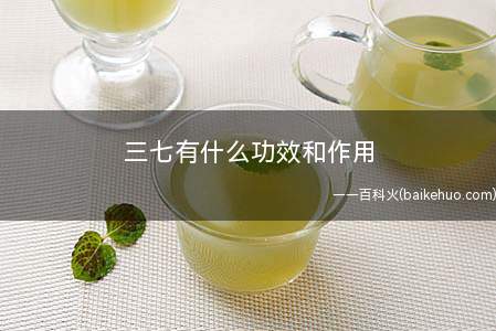 三七有什么功效和作用